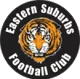/images/football/team/e529be33935e79024a46400f621a5683.webp!h80