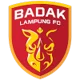 /images/football/team/e6fb50c202d2956cdb29834127ef1ce3.webp!h80