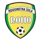 NS Roho Vbo