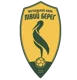 /images/football/team/f38525374d0c44f50c29ee8ce195f4e2.webp!h80
