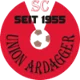 /images/football/team/f8256b7acd42076490b3856f4ce4cf45.webp!h80