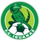 FC Iguanas