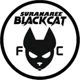 /images/football/team/fbb2b46d349c5847f70813cba8346882.webp!h80