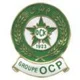 /images/football/team/fd00d3474e495e7b6d5f9f575b2d7ec4.webp!h80