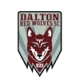 /images/football/team/fdaa59dbc305beeec81efcbf657ae60b.webp!h80