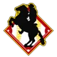 /images/football/team/fe851bc358d0dfeca2b92aad42d1a2f7.webp!h80