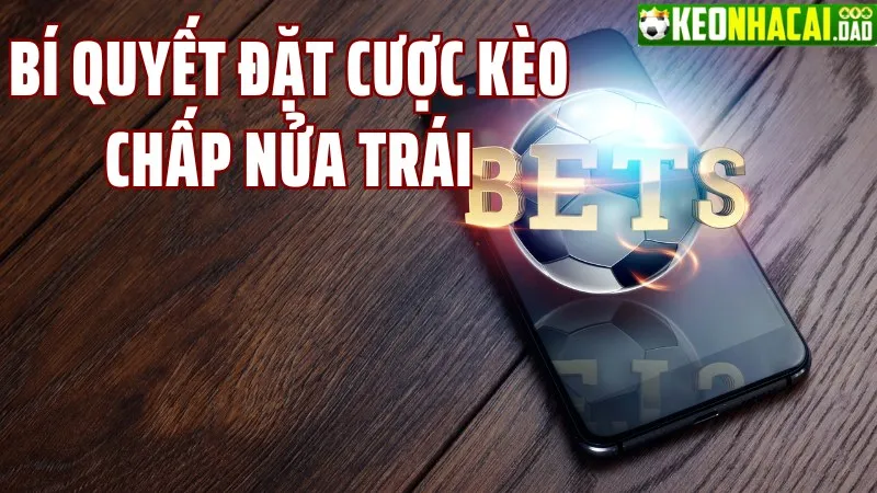 Bí quyết đặt cược kèo nửa trái