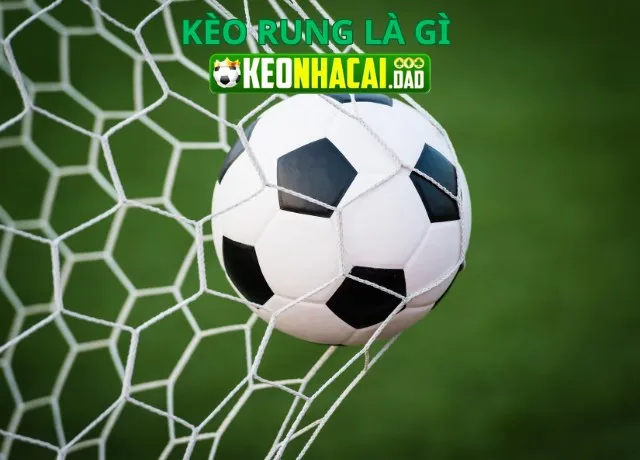 Bí quyết chơi kèo rung dễ hiểu