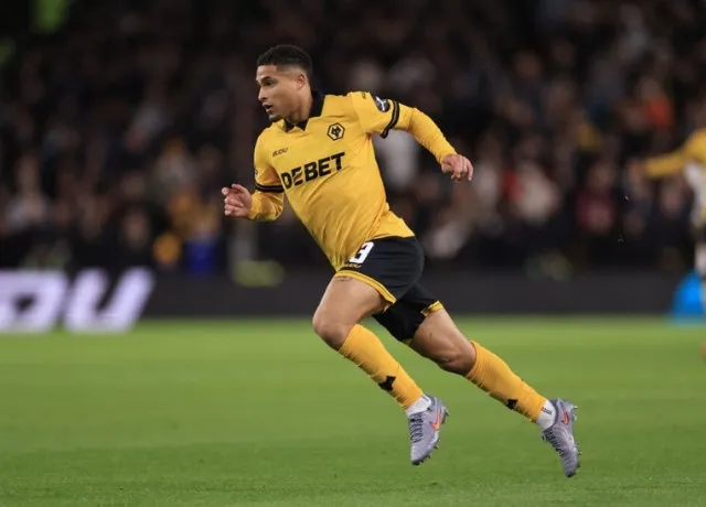 Hồ sơ và phong cách chơi của Joao Gomes